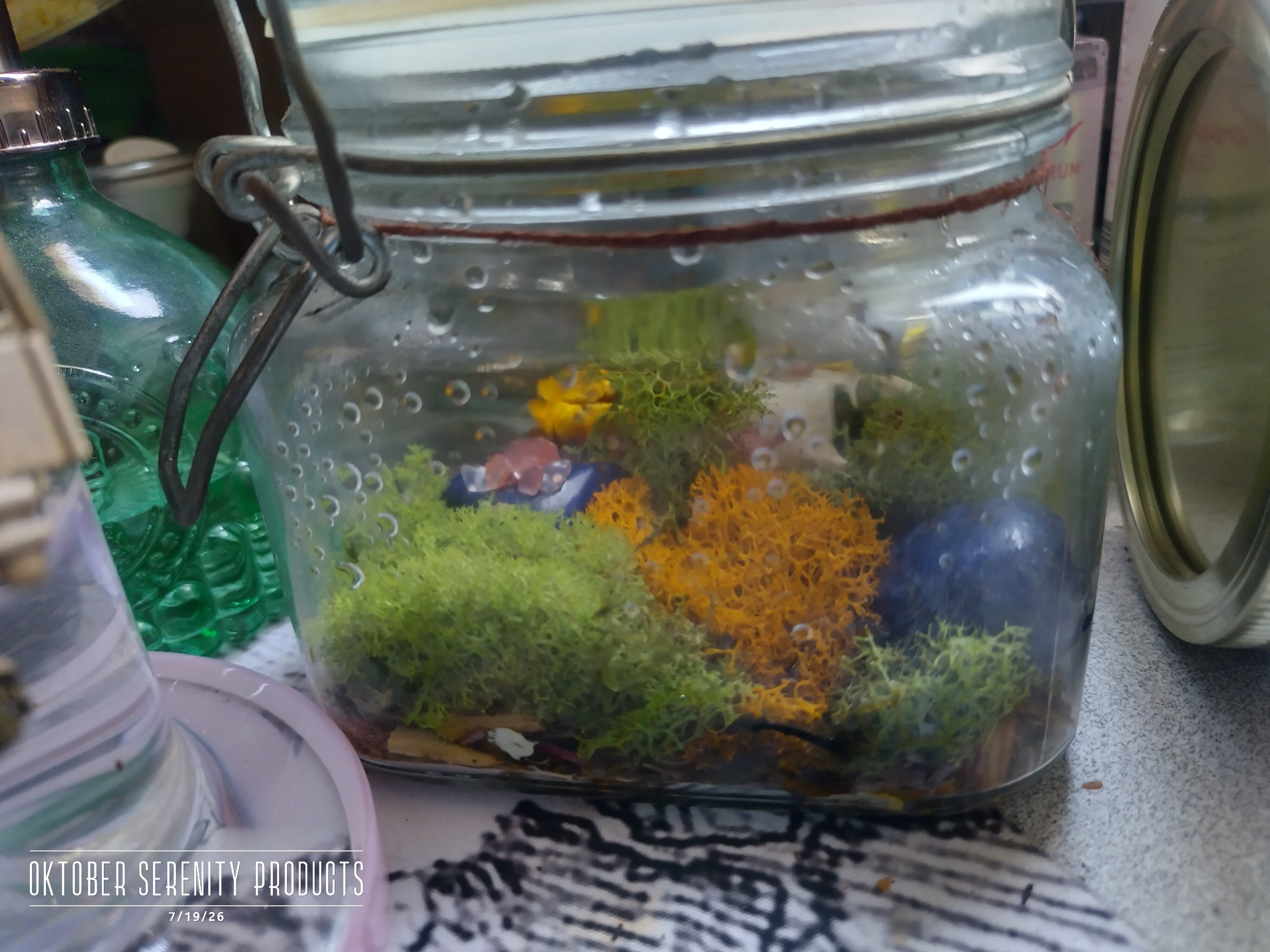 Make your own Vivarium with moss and your own backyard insects.